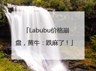 Labubu价格崩盘，黄牛：跌麻了！