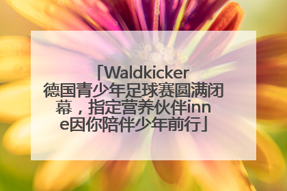 Waldkicker德国青少年足球赛圆满闭幕，指定营养伙伴inne因你陪伴少年前行