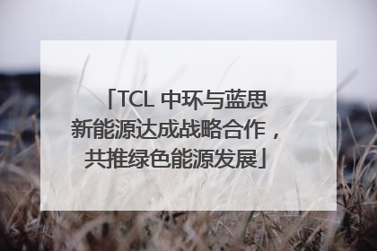 TCL 中环与蓝思新能源达成战略合作，共推绿色能源发展